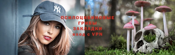 а пвп мука Аркадак