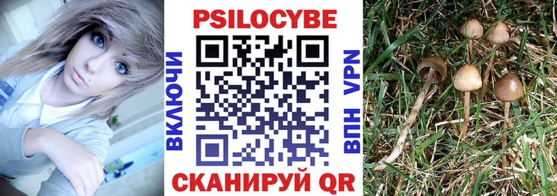 Галлюциногенные грибы Psilocybe наркошоп Артёмовск